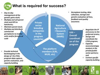Increasing productivity of chickens through the African Chicken Genetic Gains (ACGG) project