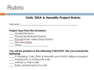 Rubric
 