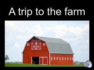 A trip to the farm 