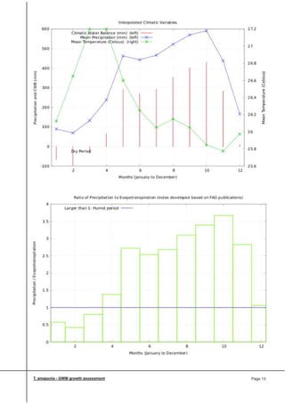 Greenwood Management Technical Forestry Report Terminalia Amazonia
