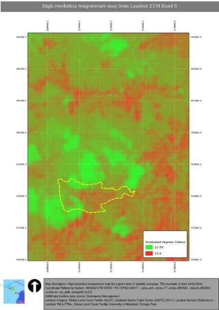 Greenwood Management Technical Forestry Report Terminalia Amazonia