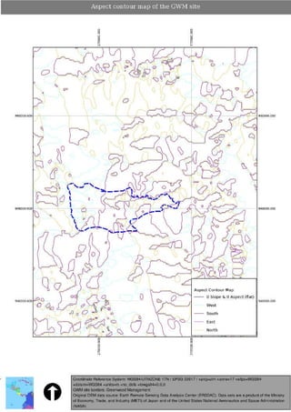 Greenwood Management Technical Forestry Report Terminalia Amazonia