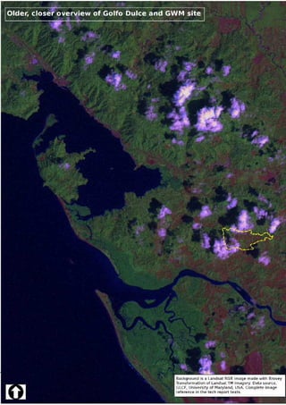 Greenwood Management Technical Forestry Report Terminalia Amazonia