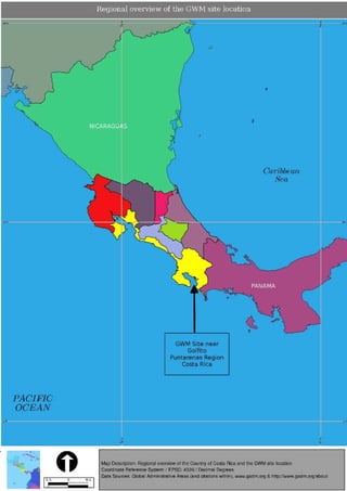 Greenwood Management Technical Forestry Report Terminalia Amazonia