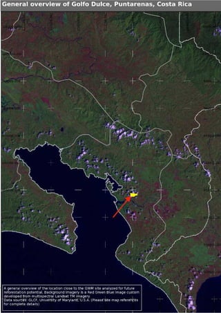 Greenwood Management Technical Forestry Report Terminalia Amazonia
