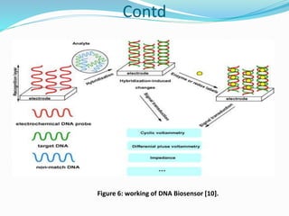 Contd
Figure 6: working of DNA Biosensor [10].
 