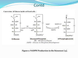 Contd
Figure 7: NADPH Production in the biosensor [13].
 