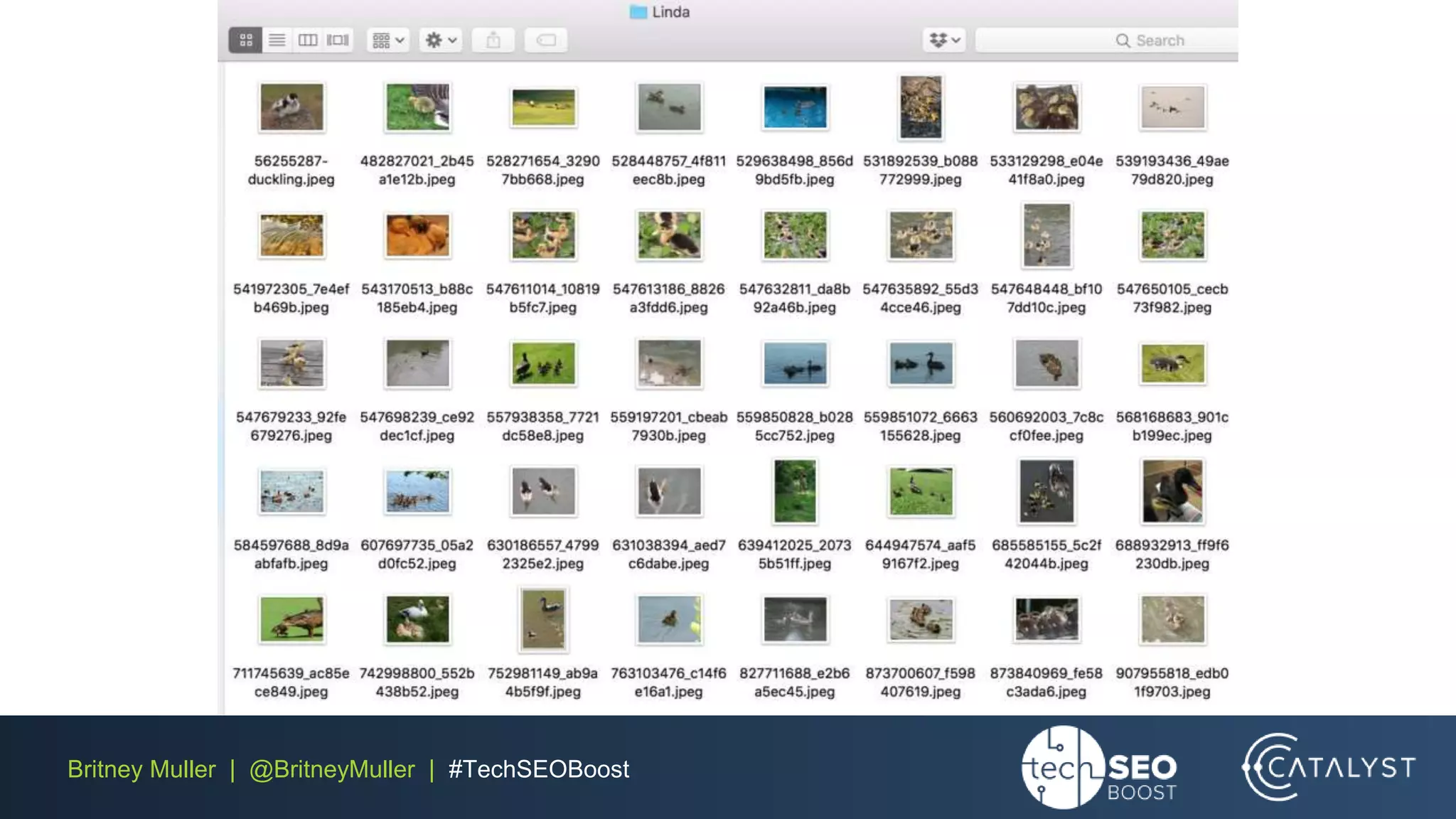 Britney Muller | @BritneyMuller | #TechSEOBoost
 