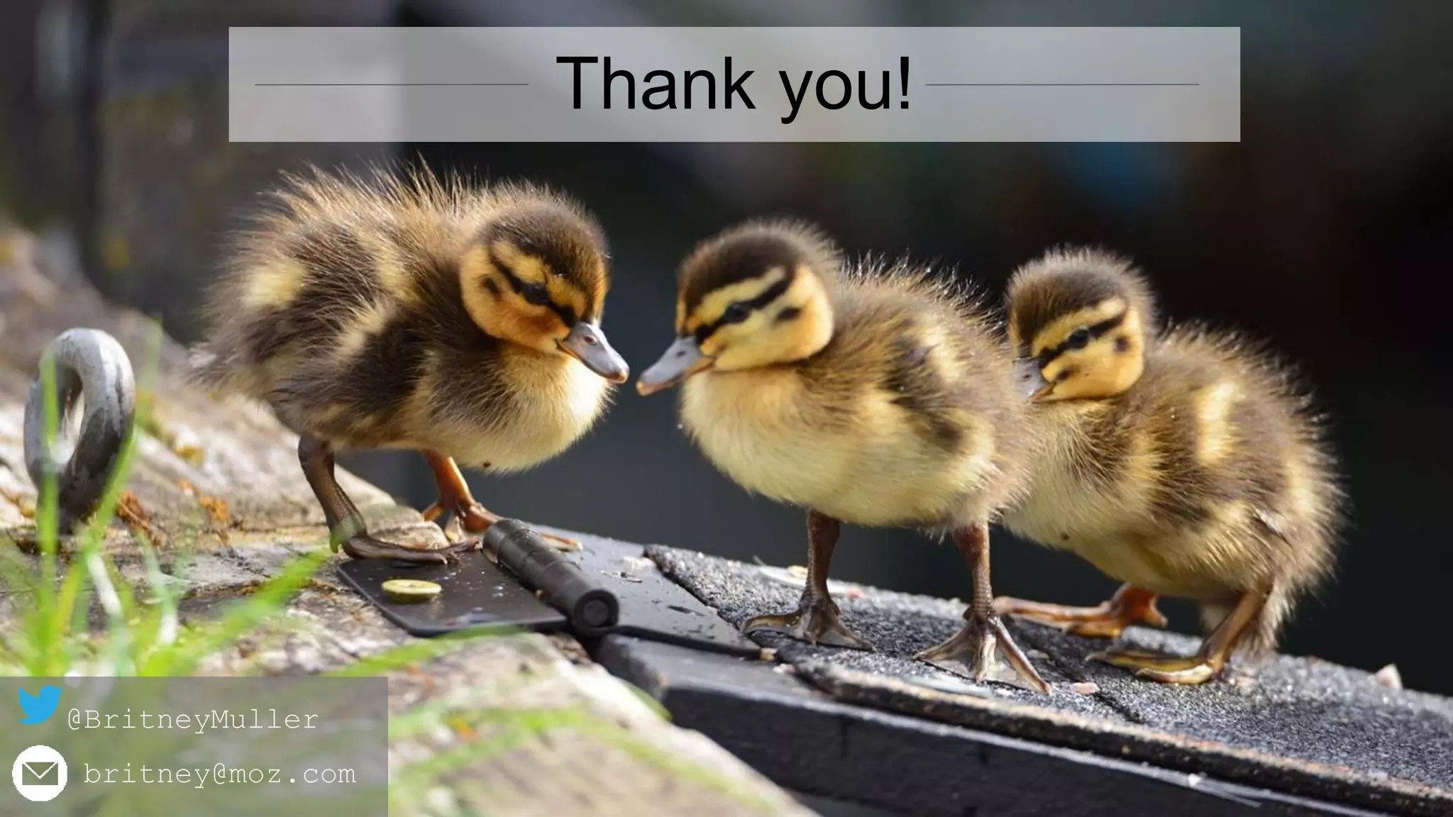 Britney Muller | @BritneyMuller | #TechSEOBoost
What did we learn? Thank you!
@BritneyMuller
britney@moz.com
 