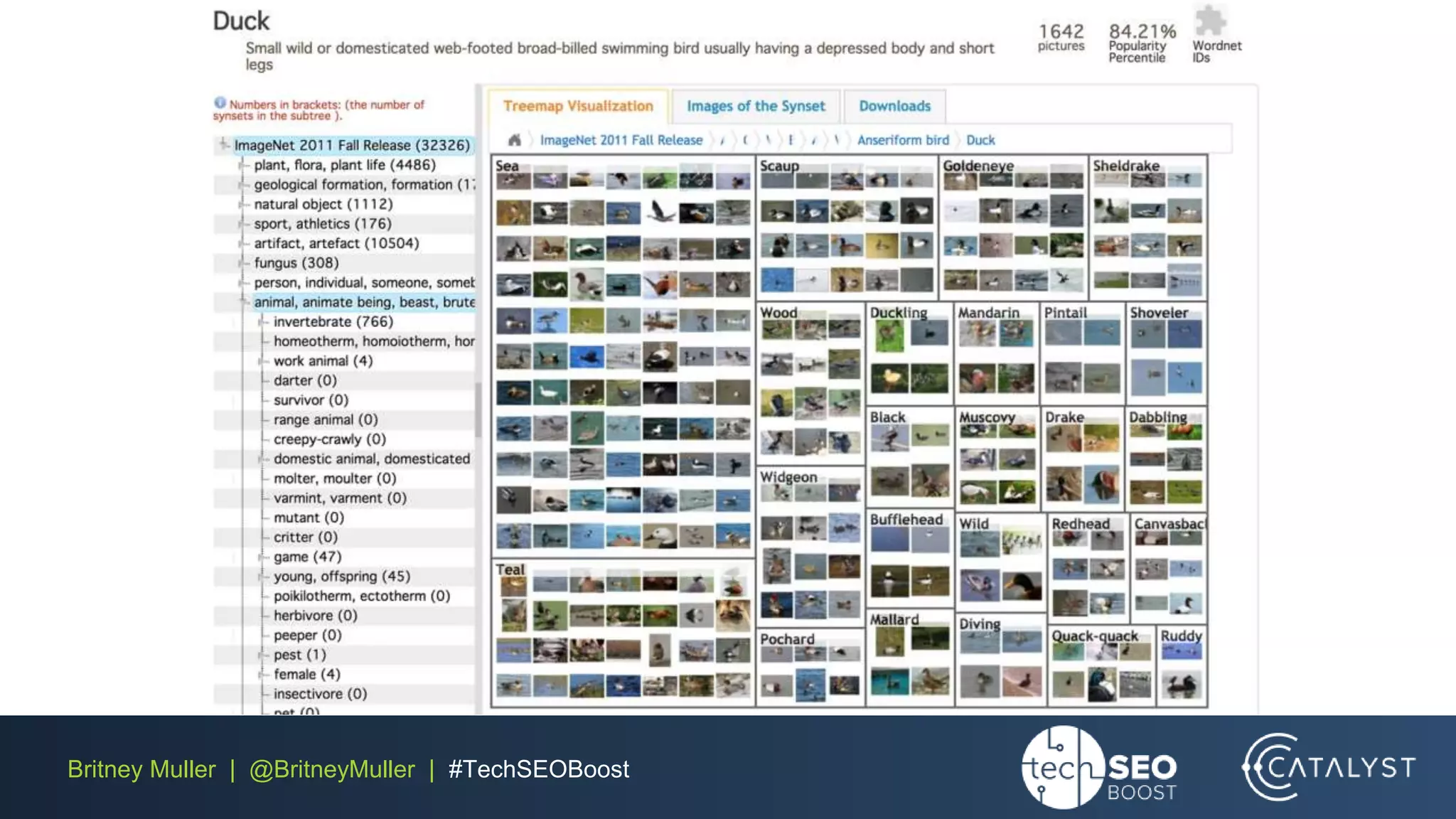 Britney Muller | @BritneyMuller | #TechSEOBoost
 