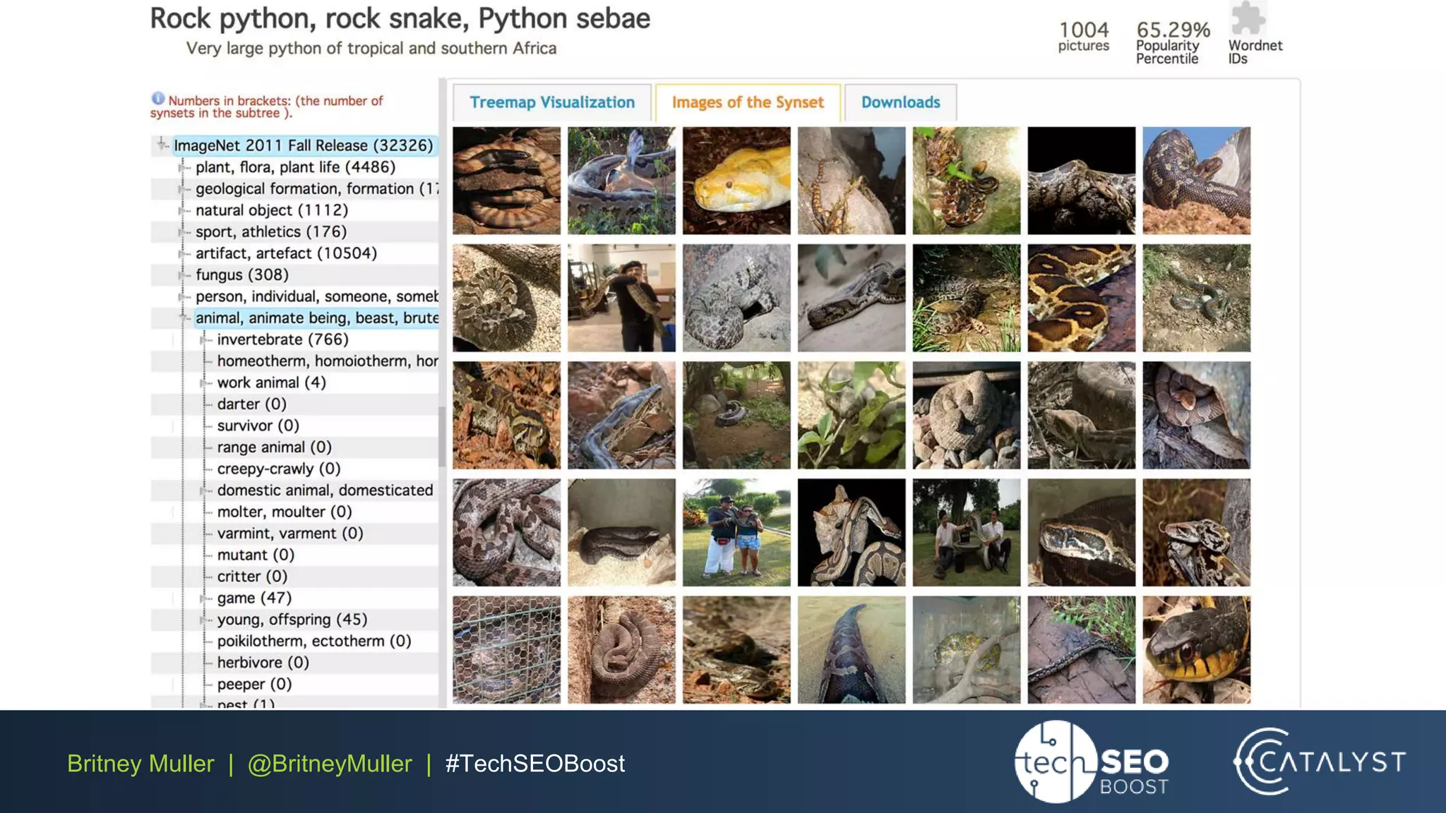 Britney Muller | @BritneyMuller | #TechSEOBoost
 