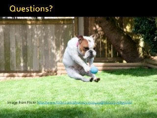 Image from Flickr http://www.flickr.com/photos/37307410@N02/7305895166/
 