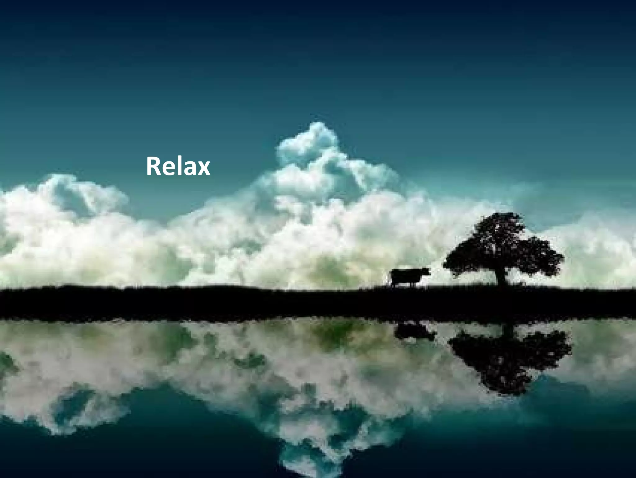 The Tech Success Relax 