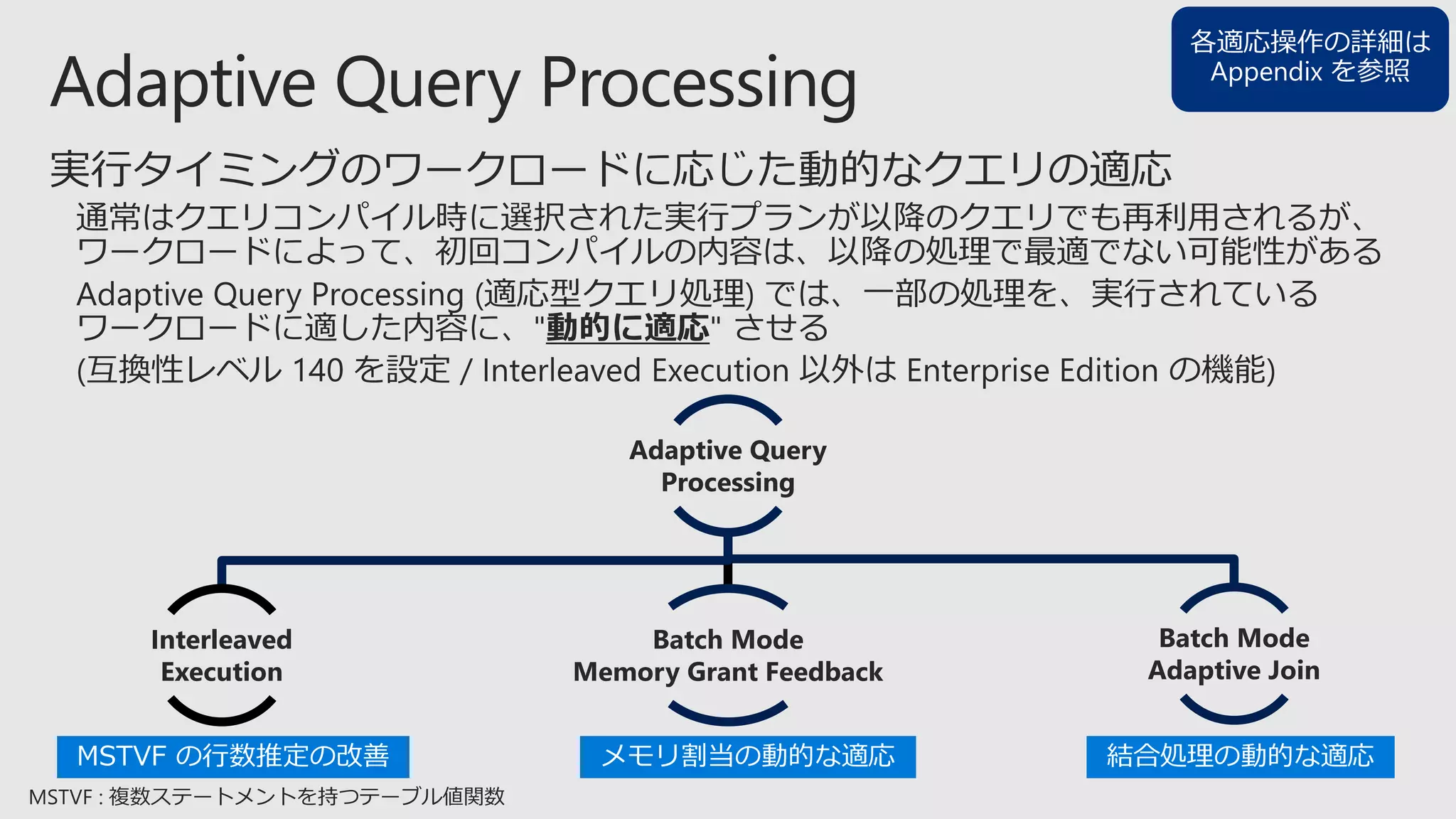 Adaptive Query
Processing
Interleaved
Execution
Batch Mode
Memory Grant Feedback
Batch Mode
Adaptive Join
メモリ割当の動的な適応 結合処理の動的な適応MSTVF の行数推定の改善
各適応操作の詳細は
Appendix を参照
 