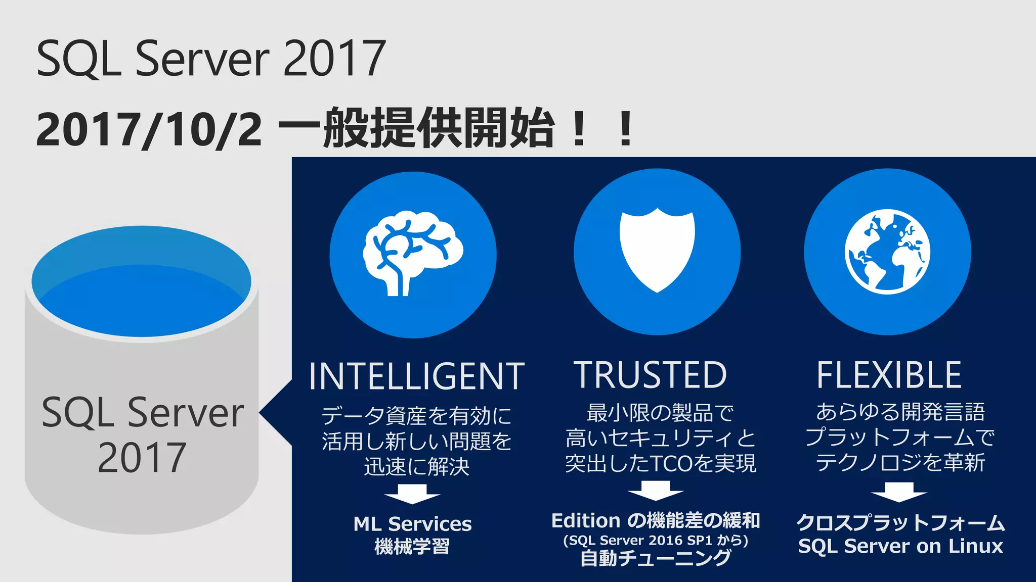 SQL Server
2017
INTELLIGENT FLEXIBLETRUSTED
INTELLIGENT TRUSTED FLEXIBLE
データ資産を有効に
活用し新しい問題を
迅速に解決
最小限の製品で
高いセキュリティと
突出したTCOを実現
あらゆる開発言語
プラットフォームで
テクノロジを革新
ML Services
機械学習
Edition の機能差の緩和
(SQL Server 2016 SP1 から)
自動チューニング
クロスプラットフォーム
SQL Server on Linux
 