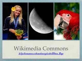 Http Commons Wikimedia.org I Hate Copyright (How to Find Millions of Public Domain and Creative ...