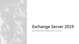 Exchange Server 2019
Dynamischer Datenbank-Cache
 