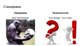 Стажировка
Ожидание
Как? Что? Почему?
Реальность
Есть вопрос - есть ответ
 