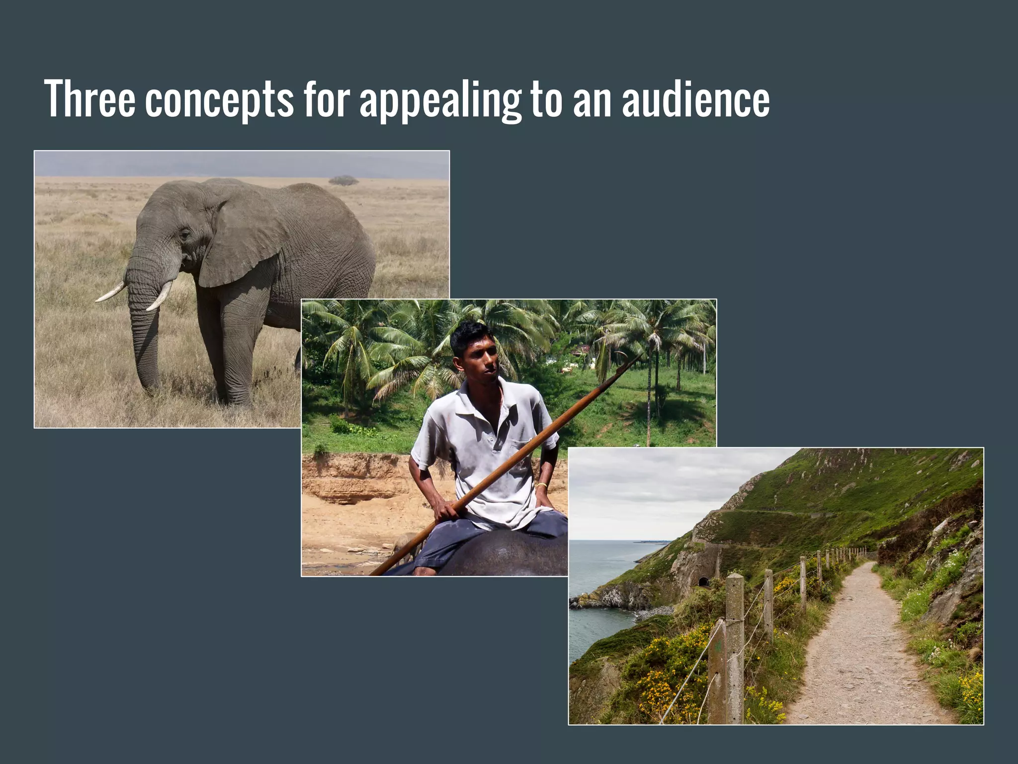 Three concepts for appealing to an audience
 