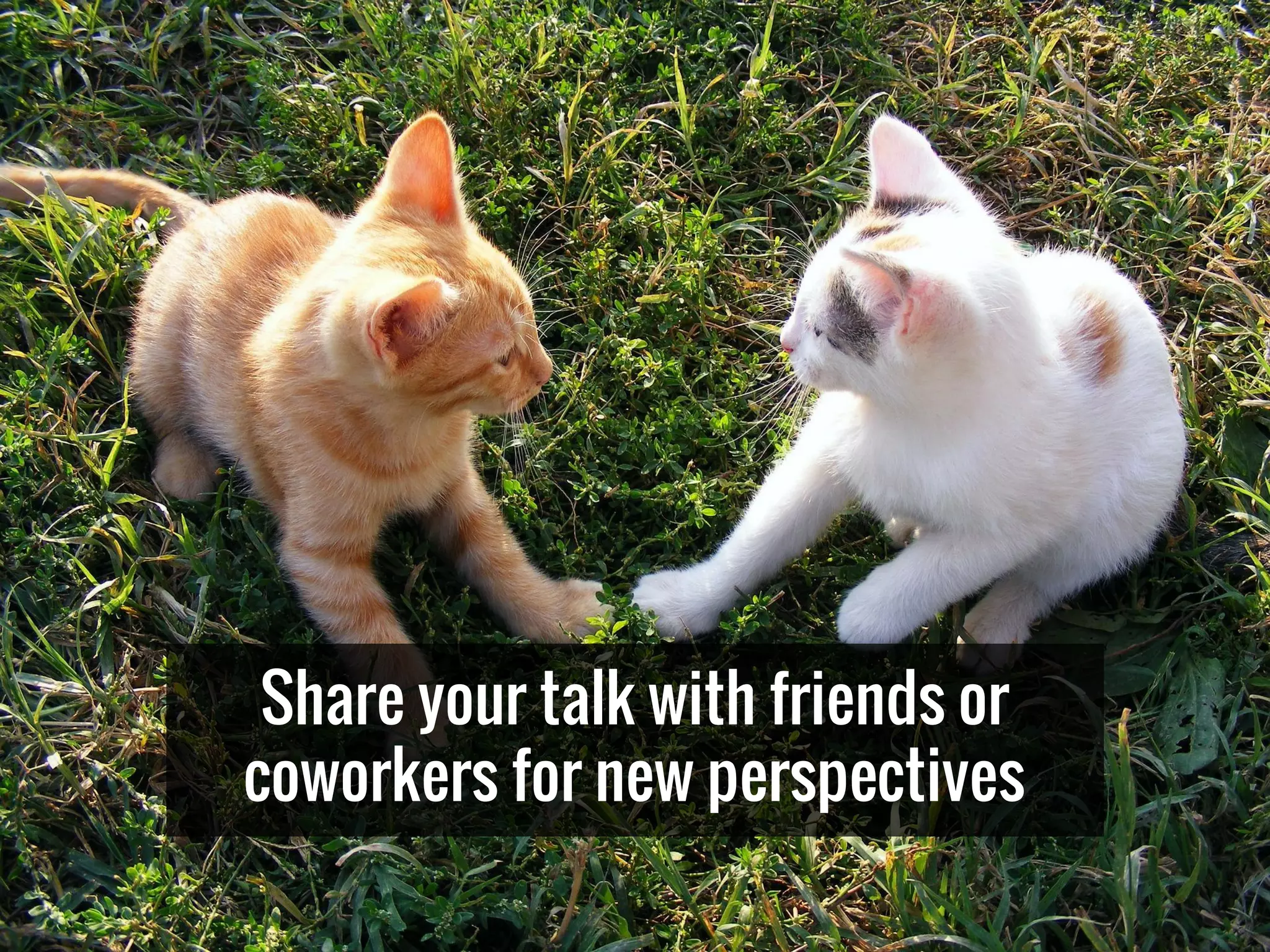 Share your talk with friends or
coworkers for new perspectives
 