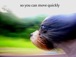 But it can be hard to see the road		a real dashboard