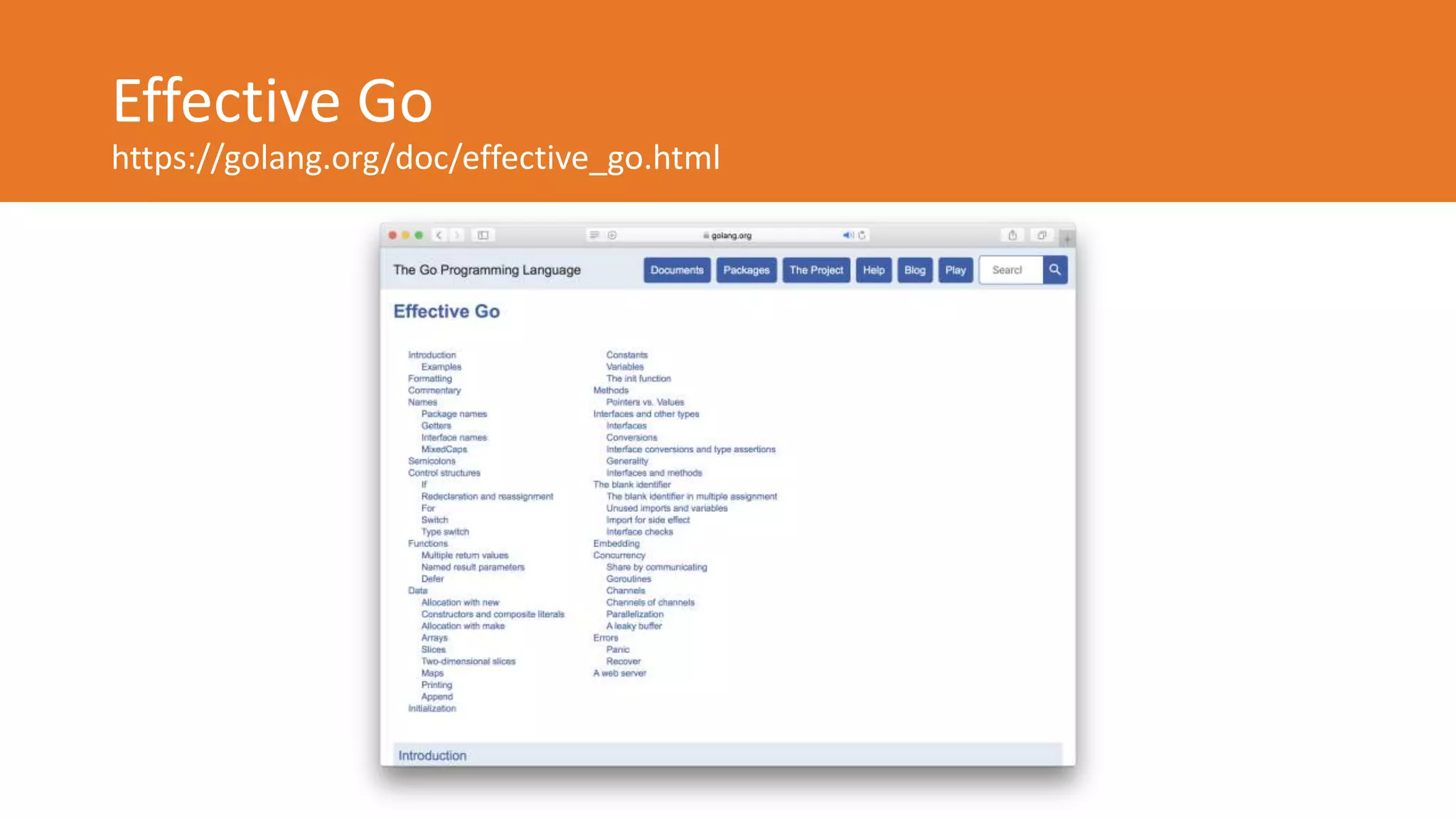 Effective Go
https://golang.org/doc/effective_go.html
 