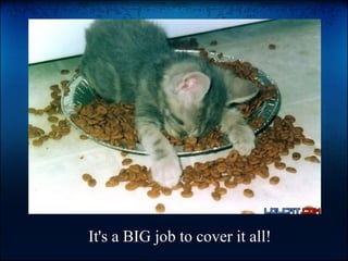 It's a BIG job to cover it all!
 