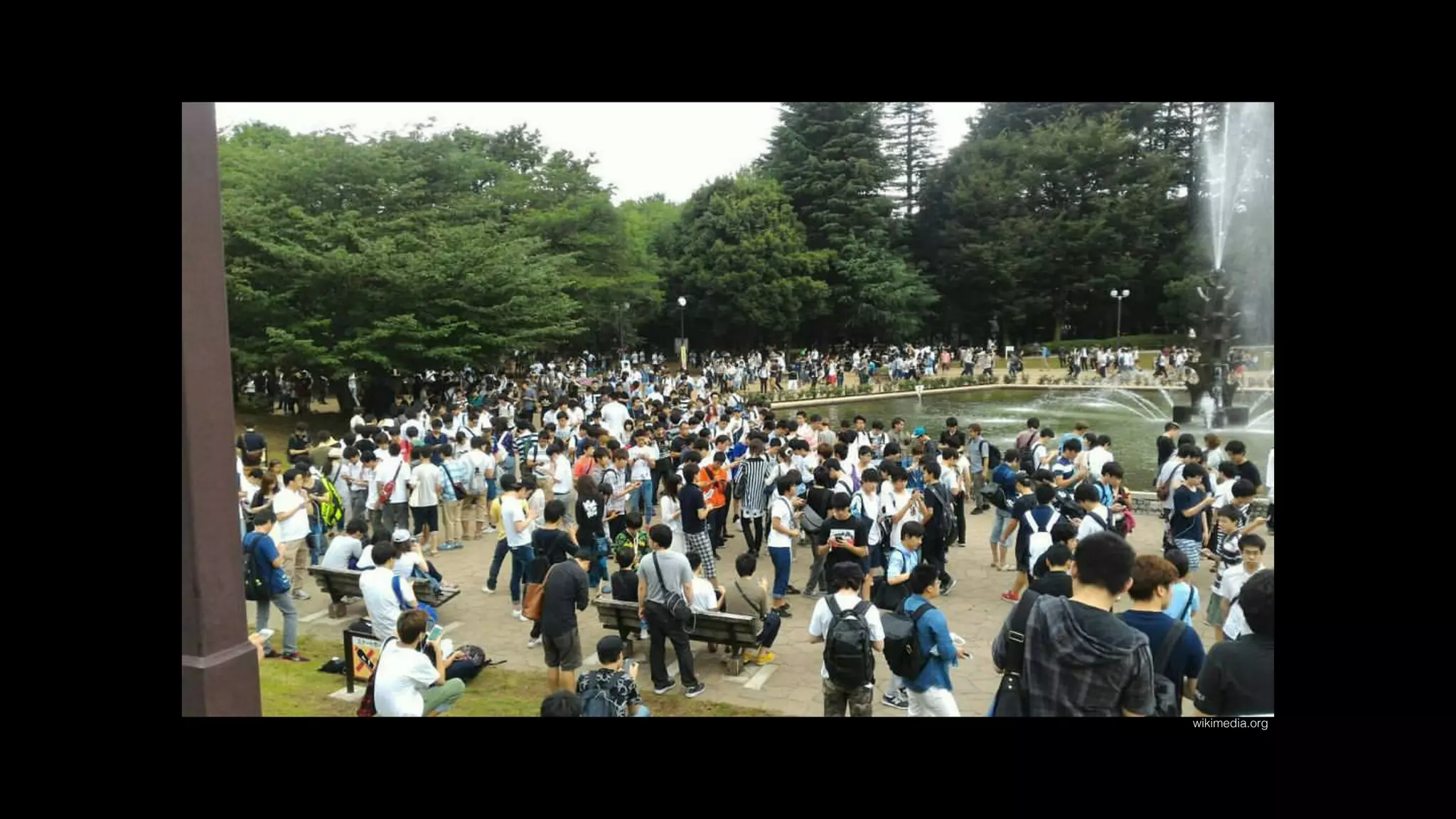 wikimedia.org
 
