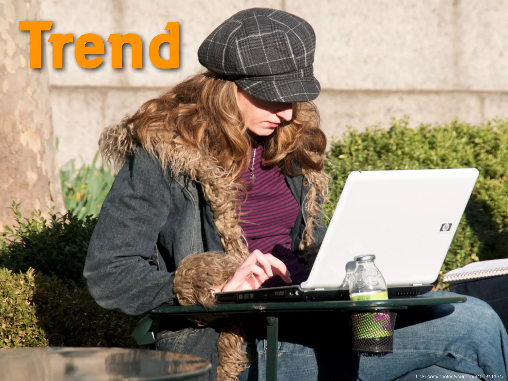 Trend 
flickr.com/photos/yourdon/3405811164/ 
 