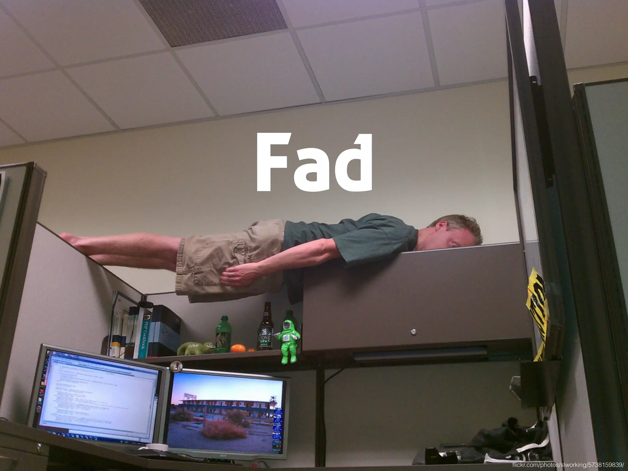 Fad
ﬂickr.com/photos/slworking/5738159839/
 