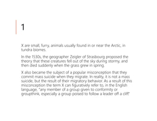 1
X are small, furry, animals usually found in or near the Arctic, in
tundra biomes.
In the 1530s, the geographer Zeigler of Strasbourg proposed the
theory that these creatures fell out of the sky during stormy, and
then died suddenly when the grass grew in spring.
X also became the subject of a popular misconception that they
commit mass suicide when they migrate. In reality, it is not a mass
suicide, but the result of their migratory behavior. As a result of this
misconception the term X can figuratively refer to, in the English
language, “any member of a group given to conformity or
groupthink, especially a group poised to follow a leader off a cliff.”
 