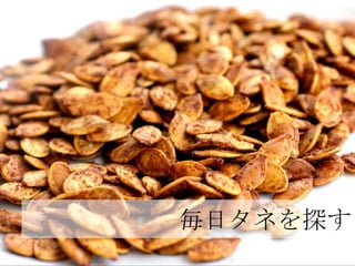 毎日タネを探す
 