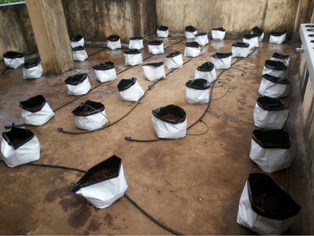 aquaponics training in india 2019 - aquaponic