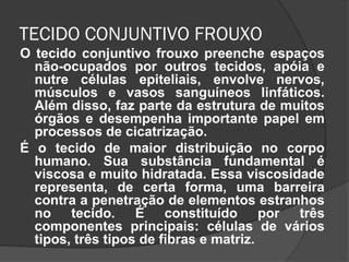 TECIDO CONJUNTIVO FROUXO
O tecido conjuntivo frouxo preenche espaços
  não-ocupados por outros tecidos, apóia e
  nutre células epiteliais, envolve nervos,
  músculos e vasos sanguíneos linfáticos.
  Além disso, faz parte da estrutura de muitos
  órgãos e desempenha importante papel em
  processos de cicatrização.
É o tecido de maior distribuição no corpo
  humano. Sua substância fundamental é
  viscosa e muito hidratada. Essa viscosidade
  representa, de certa forma, uma barreira
  contra a penetração de elementos estranhos
  no tecido. É constituído por três
  componentes principais: células de vários
  tipos, três tipos de fibras e matriz.
 