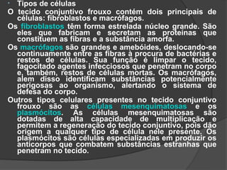 • Tipos de células
O tecido conjuntivo frouxo contém dois principais de
  células: fibroblastos e macrófagos.
Os fibroblastos têm forma estrelada núcleo grande. São
  eles que fabricam e secretam as proteínas que
  constituem as fibras e a substância amorfa.
Os macrófagos são grandes e amebóides, deslocando-se
  continuamente entre as fibras à procura de bactérias e
  restos de células. Sua função é limpar o tecido,
  fagocitado agentes infecciosos que penetram no corpo
  e, também, restos de células mortas. Os macrófagos,
  alem disso identificam substâncias potencialmente
  perigosas ao organismo, alertando o sistema de
  defesa do corpo.
Outros tipos celulares presentes no tecido conjuntivo
  frouxo são as células mesenquimatosas e os
  plasmócitos. As células mesenquimatosas são
  dotadas de alta capacidade de multiplicação e
  permitem a regeneração do tecido conjuntivo, pois dão
  origem a qualquer tipo de célula nele presente. Os
  plasmócitos são células especializadas em produzir os
  anticorpos que combatem substâncias estranhas que
  penetram no tecido.
 