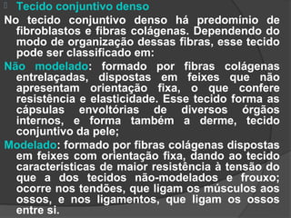  Tecido conjuntivo denso
No tecido conjuntivo denso há predomínio de
  fibroblastos e fibras colágenas. Dependendo do
  modo de organização dessas fibras, esse tecido
  pode ser classificado em:
Não modelado: formado por fibras colágenas
  entrelaçadas, dispostas em feixes que não
  apresentam orientação fixa, o que confere
  resistência e elasticidade. Esse tecido forma as
  cápsulas envoltórias de diversos órgãos
  internos, e forma também a derme, tecido
  conjuntivo da pele;
Modelado: formado por fibras colágenas dispostas
  em feixes com orientação fixa, dando ao tecido
  características de maior resistência à tensão do
  que a dos tecidos não-modelados e frouxo;
  ocorre nos tendões, que ligam os músculos aos
  ossos, e nos ligamentos, que ligam os ossos
  entre si.
 