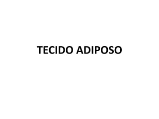 TECIDO ADIPOSO 
