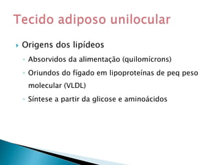  Origens dos lipídeos
◦ Absorvidos da alimentação (quilomícrons)
◦ Oriundos do fígado em lipoproteínas de peq peso
molecular (VLDL)
◦ Síntese a partir da glicose e aminoácidos
 