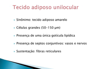  Sinônimo: tecido adiposo amarelo
 Células grandes (50-150 µm)
 Presença de uma única gotícula lipídica
 Presença de septos conjuntivos: vasos e nervos
 Sustentação: fibras reticulares
 