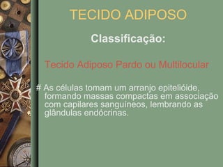 TECIDO ADIPOSO
            Classificação:

 Tecido Adiposo Pardo ou Multilocular

# As células tomam um arranjo epitelióide,
  formando massas compactas em associação
  com capilares sanguíneos, lembrando as
  glândulas endócrinas.
 