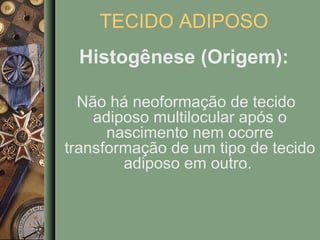 TECIDO ADIPOSO
 Histogênese (Origem):

  Não há neoformação de tecido
    adiposo multilocular após o
      nascimento nem ocorre
transformação de um tipo de tecido
        adiposo em outro.
 