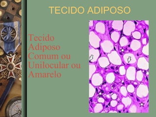 TECIDO ADIPOSO

Tecido
Adiposo
Comum ou
Unilocular ou
Amarelo
 