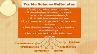 •
•
•
•
•
•
 