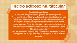 •
•
•
•
•
•
 