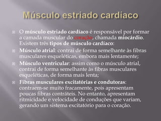    O músculo estriado cardíaco é responsável por formar
    a camada muscular do coração, chamada miocárdio.
    Existem três tipos de músculo cardíaco:
   Músculo atrial: contrai de forma semelhante às fibras
    musculares esqueléticas, embora mais lentamente;
   Músculo ventricular: assim como o músculo atrial,
    contrai de forma semelhante às fibras musculares
    esqueléticas, de forma mais lenta;
   Fibras musculares excitatórias e condutoras:
    contraem-se muito fracamente, pois apresentam
    poucas fibras contráteis. No entanto, apresentam
    ritmicidade e velocidade de conduções que variam,
    gerando um sistema excitatório para o coração.
 