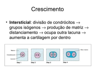 Crescimento Intersticial : divisão de condrócitos    grupos isógenos    produção de matriz    distanciamento    ocupa outra lacuna    aumenta a cartilagem por dentro 