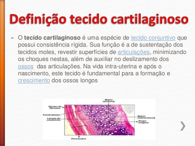 Tecido cartilaginoso