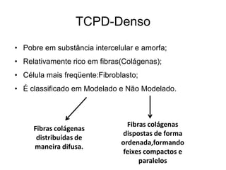 TCPD-Denso
• Pobre em substância intercelular e amorfa;
• Relativamente rico em fibras(Colágenas);
• Célula mais freqüente:Fibroblasto;
• É classificado em Modelado e Não Modelado.



                                 Fibras colágenas
     Fibras colágenas
                               dispostas de forma
      distribuídas de
                               ordenada,formando
     maneira difusa.
                                feixes compactos e
                                     paralelos
 