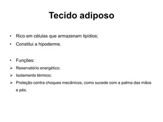 Tecido adiposo

•   Rico em células que armazenam lipídios;
•   Constitui a hipoderme.


•   Funções:
 Reservatório energético;
 Isolamento térmico;
 Proteção contra choques mecânicos, como sucede com a palma das mãos
    e pés.
 