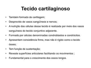 Tecido cartilaginoso
•   Também formado de cartilagem;
•   Desprovido de vasos sangüíneos e nervos;
•   A nutrição das células desse tecido é realizada por meio dos vasos
    sanguíneos do tecido conjuntivo adjacente.
•   Formado por células denominadas condroblastos e condrócitos.
•   Apresentam consistência firme, mas não é rígido como o tecido
    ósseo;
•   Tem função de sustentação;
•   Reveste superfícies articulares facilitando os movimentos ;
•   Fundamental para o crescimento dos ossos longos.
 